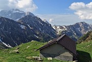 Laghi Gemelli dalle Baite di Mezzeno, fiori, stambecchi e ancora neve (4giu21) - FOTOGALLERY